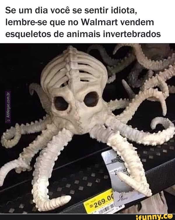 Se um dia você se sentir idiota,
lembre-se que no Walmart vendem esqueletos de animais invertebrados
