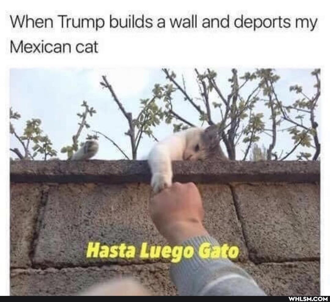 When Trump builds a wall and deports my
Mexican cat
Hasta