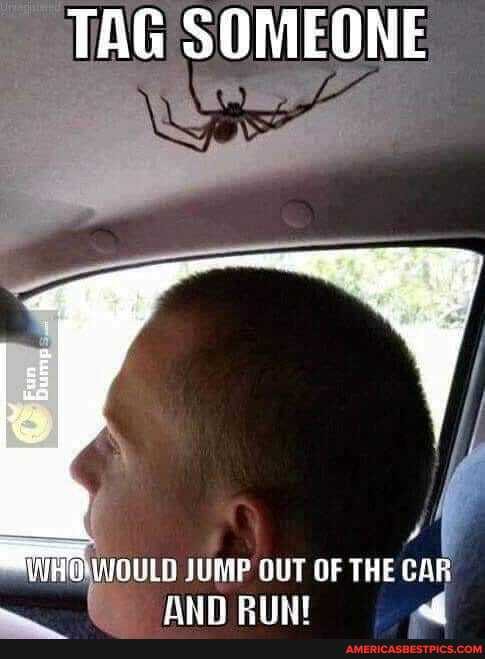 TAG
WOULD JUMP OUT OF THE CAR ANN PINI