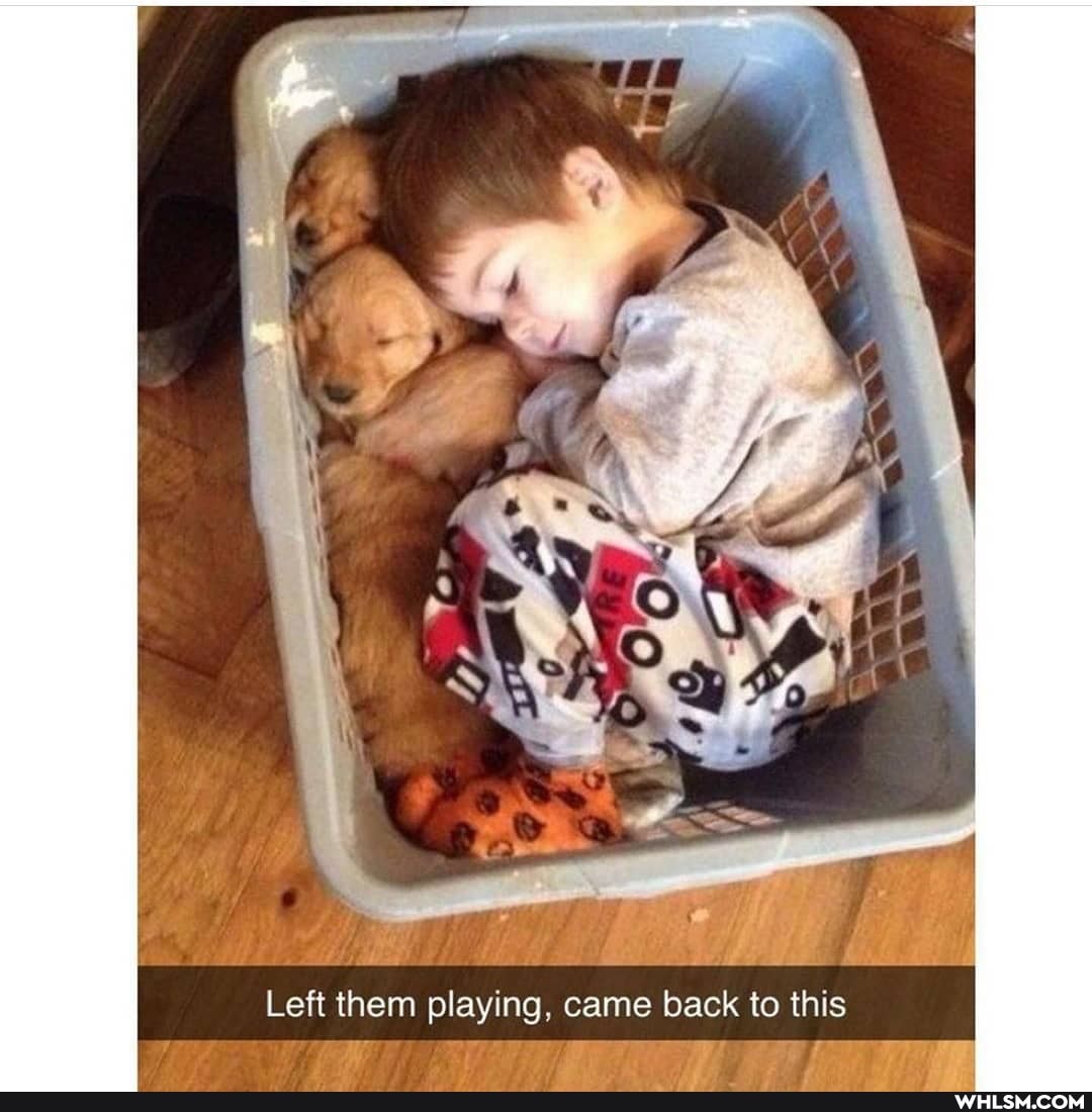 Left them playing, came back to this
> Ff