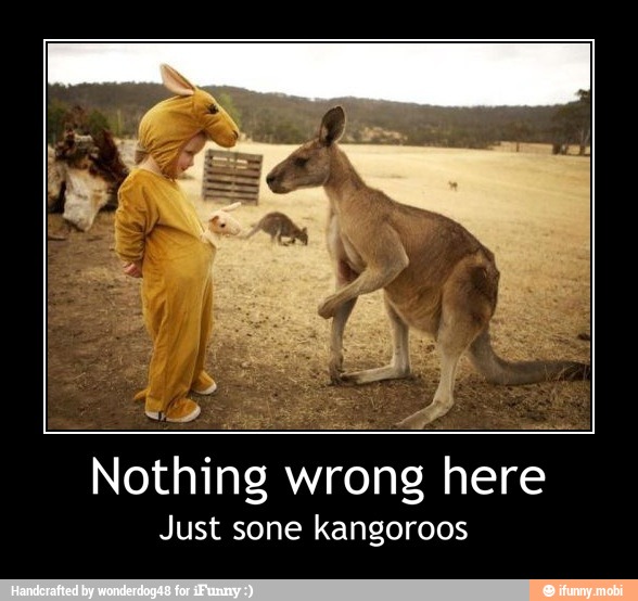 Nothing
w
Wrong here
Just sone kangoroos - Nothing wrong here
Just sone kangoroos