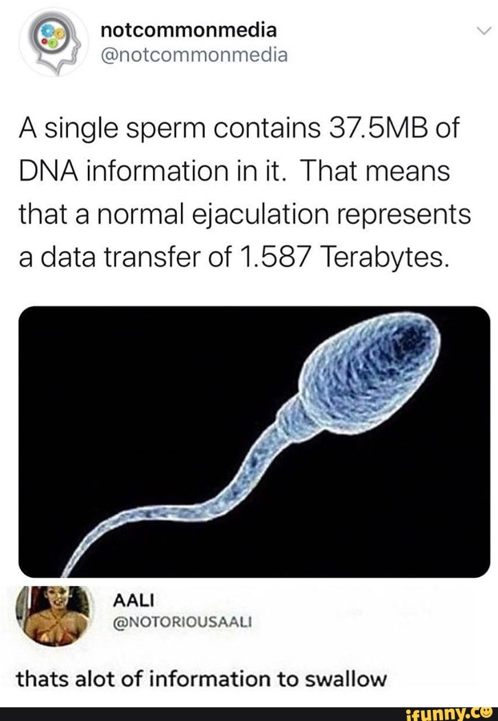 A single sperm contains 37.5MB of DNA information in it. That means ...