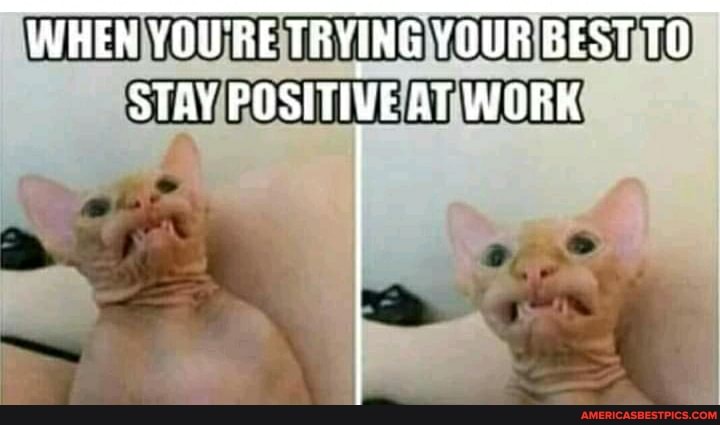 WHEN YOURE TRYING YOUR BEST TO STAY POSHTIVE AT WORK
