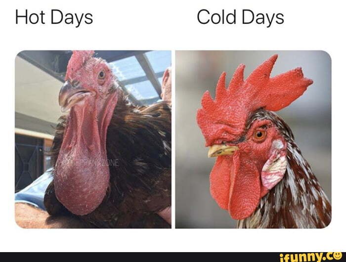 Hot Days Cold Days