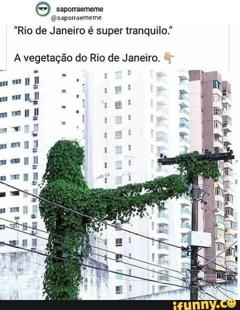 "Rio de Janeiro é super tranquilo."
A vegetação do Rio de Janeiro. I