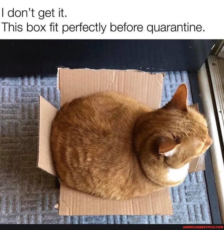 I don't get it.
This box fit perfectly before quarantine.