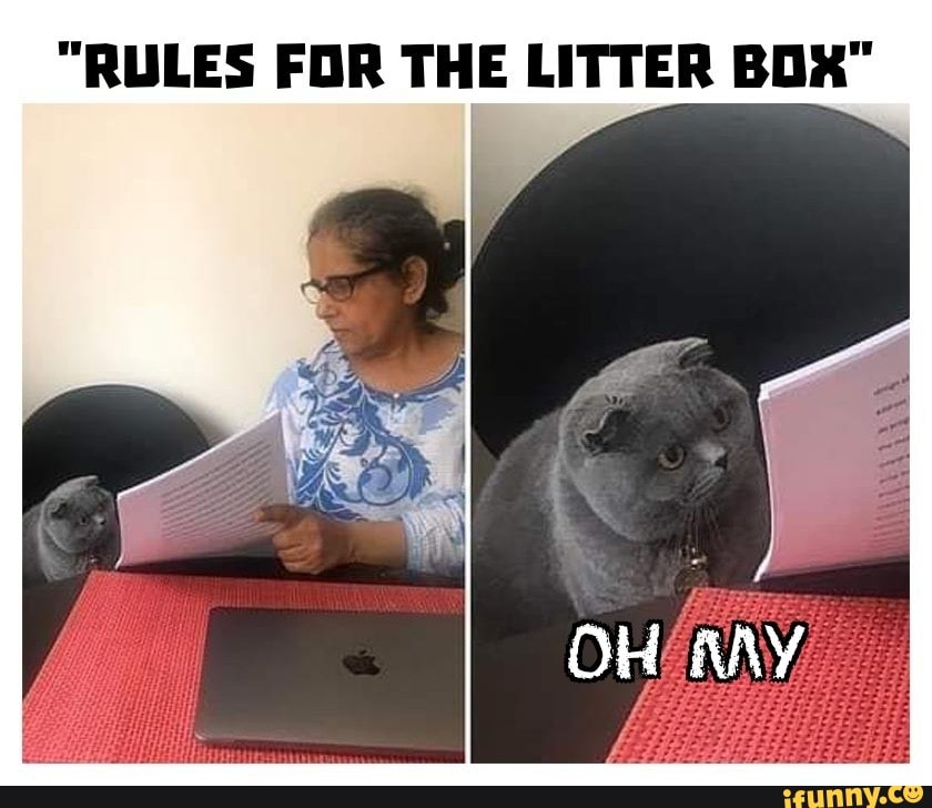 "RULES FOR THE LITTER BOX"