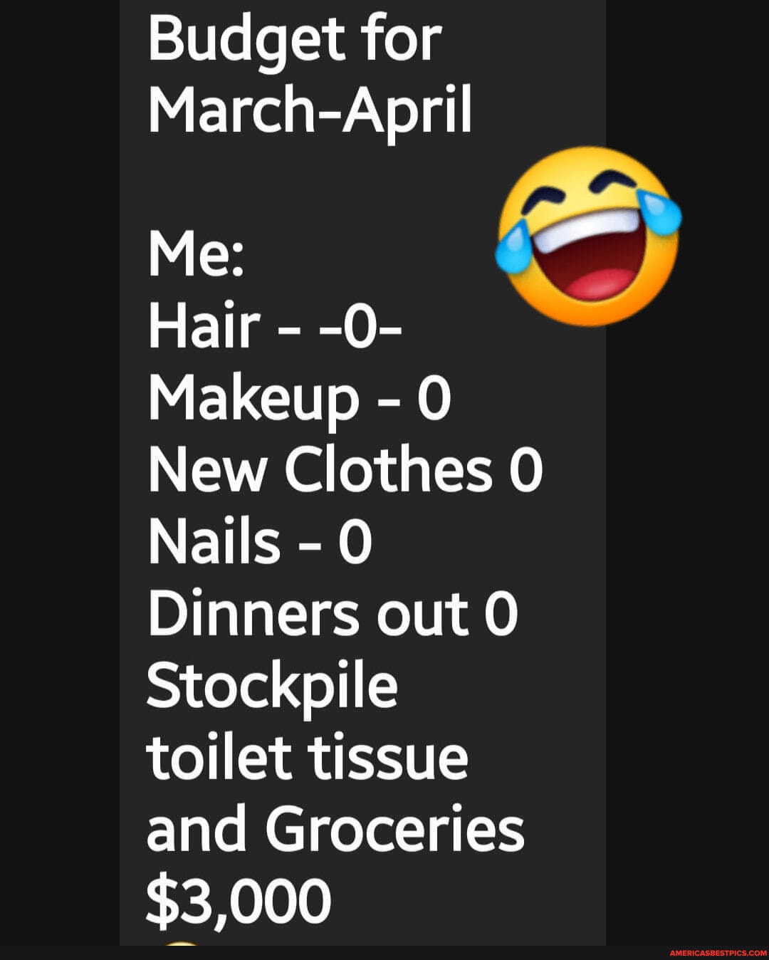 Budget for
March-April
Me:
Hair - -0-
Makeup - 0
New Clothes
Nails -
Dinners out
Stockpile toilet tissue and Groceries
$3 000