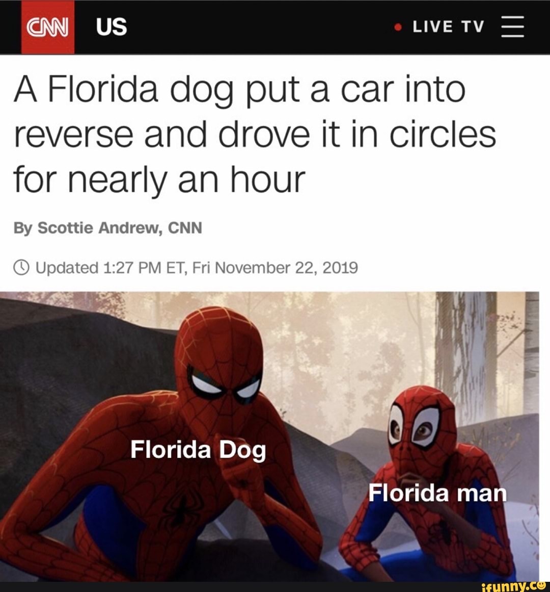 A Florida dog put a car into reverse and drove it in Circles for nearly