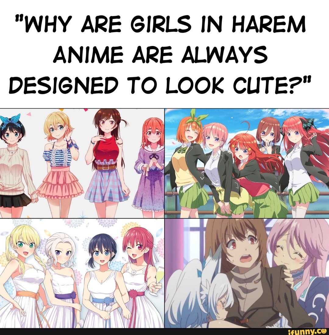 WHY ARE GIRLS IN HAREM ANIME ARE ALWAYS DESIGNED TO LOOK CUTE?