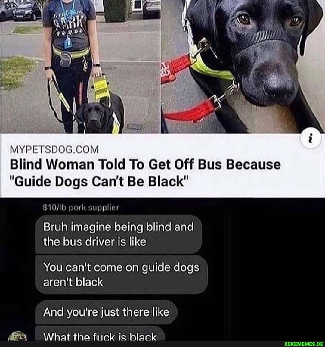 Blind Woman Told To Get Off Bus Because
"Guide Dogs Can't Be Black"
pork supplier
Bruh imagine being blind and the bus driver is like
You can't come on guide dogs aren't black
And you're just there like