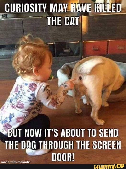 Oops - CURIOSITY MAY HAVE KILLED THE CAT AM BUT NOW IT'S ABOUT TO SEND ...