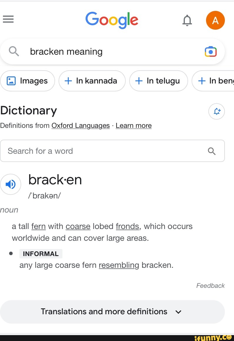 Google o Q. bracken meaning e Images + In kannada + In telugu + ...