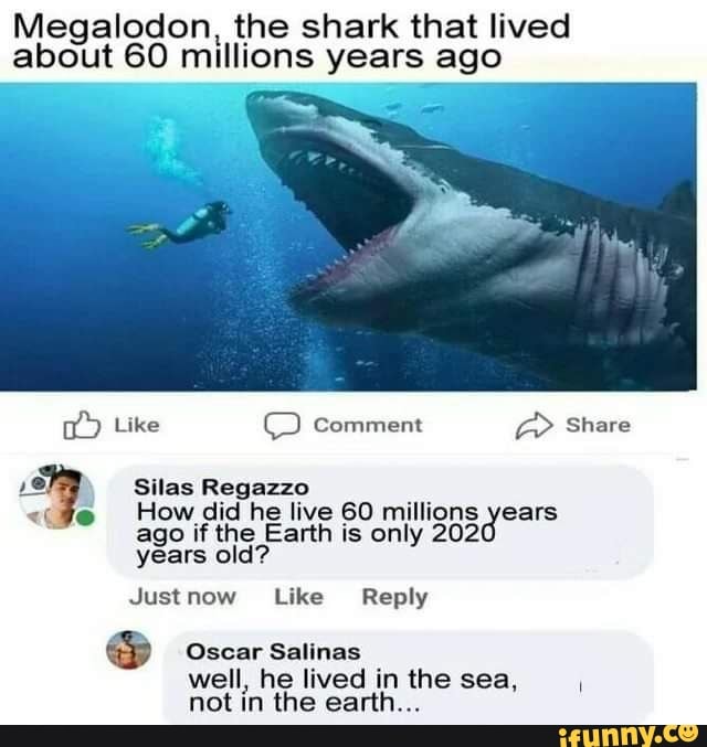 Megalodon, the shark that lived about 60 millions years ago Like