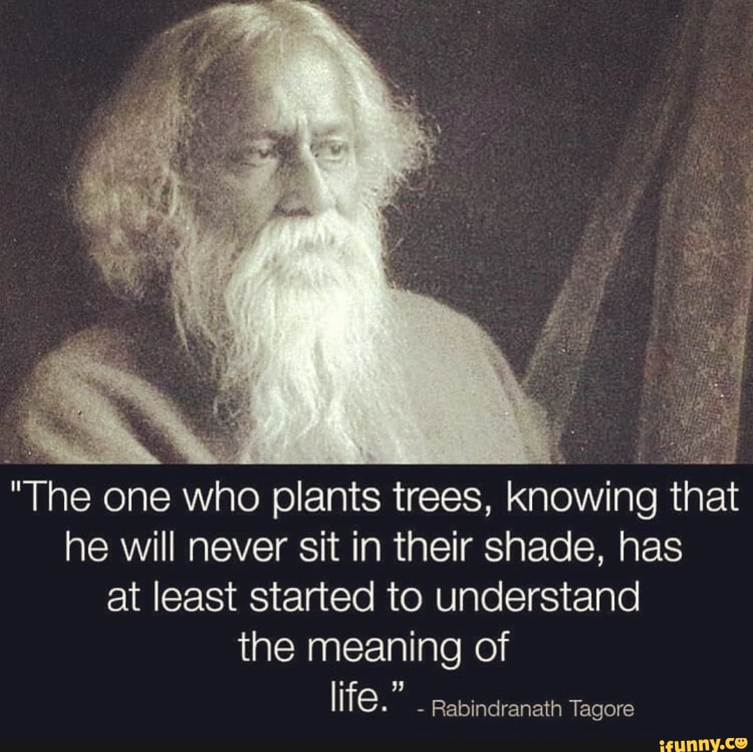  The One Who Plants Trees Knowing That He Will Never Sit In Their 