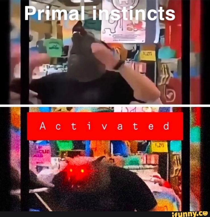 Primal instincts
RR.
Act
ivated