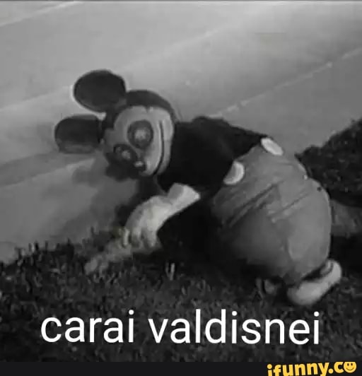 carai valdisnei