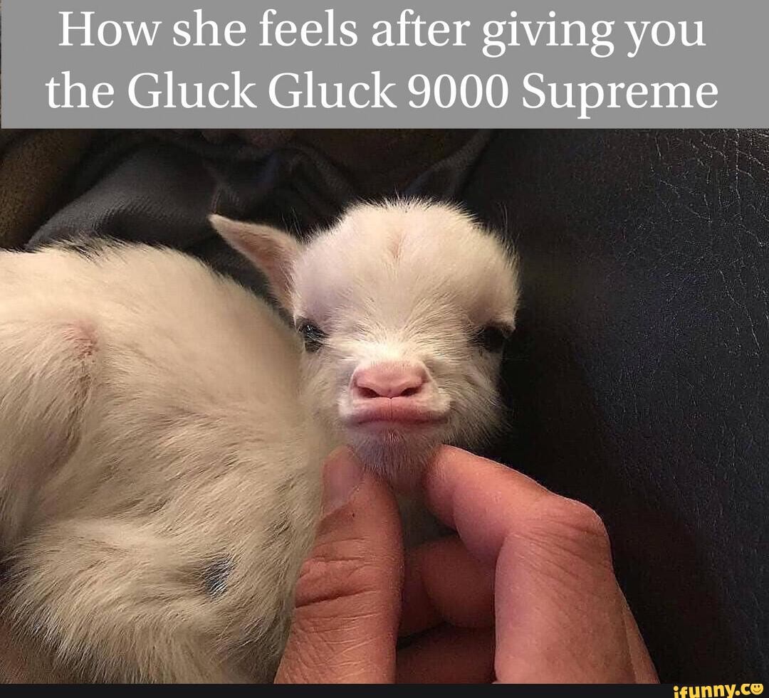 How she feels after giving you the Gluck Gluck 9000 Supreme - iFunny