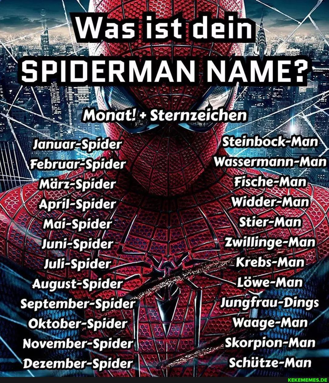 ASS Mai-Spider August-Spider September spiders Dezember-Spider.I~