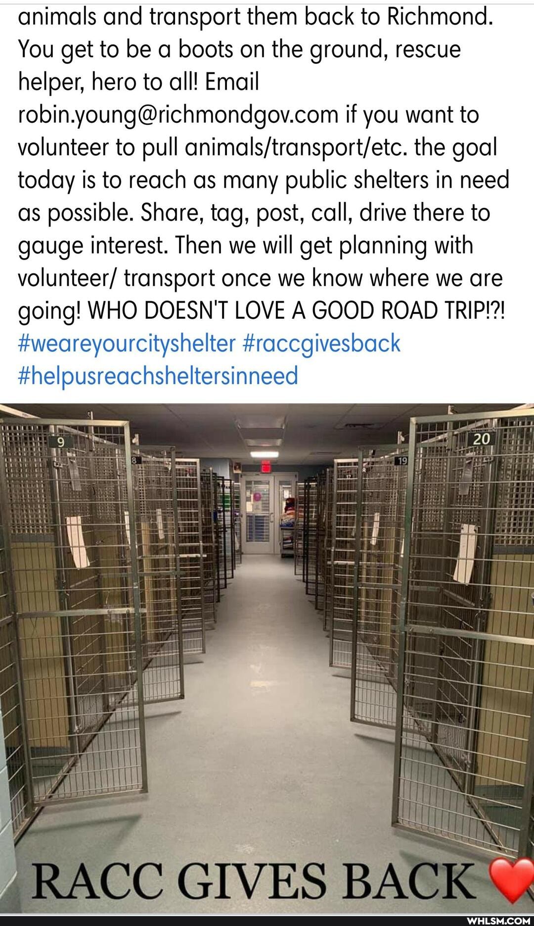animals and transport them back to Richmond.
You get to be a boots on the ground, rescue helper, hero to all! Email if you want to volunteer to pull ani the goal today is to reach as many public shelters in need as possible. Share, tag, post, call, drive there to gauge interest. Then we will get planning with volunteer/ transport once we know where we are going! WHO DOESN'T LOVE A GOOD ROAD TRIP!?!
#weareyourcityshelter #raccgivesback
#helpusreachsheltersinneed
RACC GIVES BACK