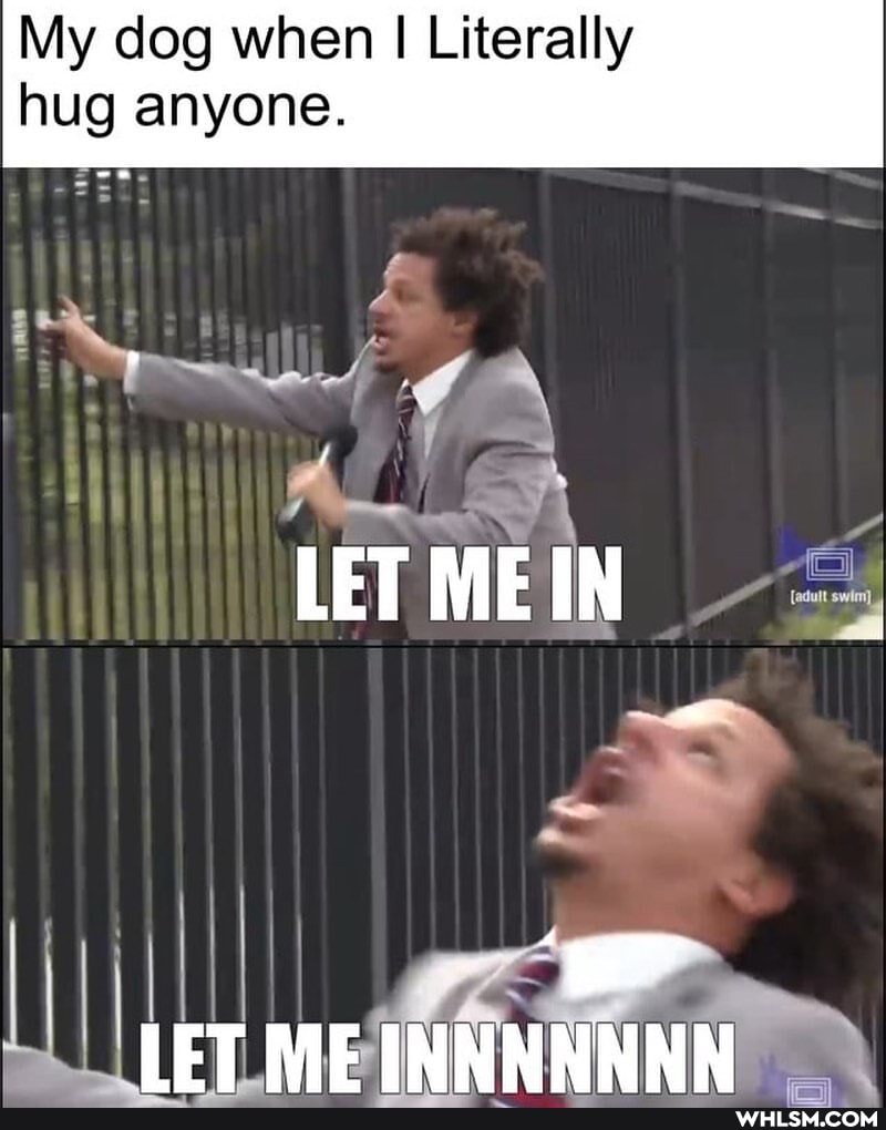 My dog when I Literally hug anyone.
LET MEIN
LET ME INNNNNNN
