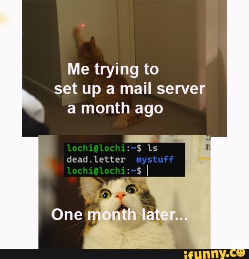letter mail memes