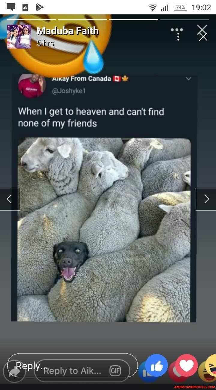 all 4%)
Maduba Faith
hrs
Aixay From Canada
@Joshykel
When I get to heaven and can't find none of my friends
Reply... to Aik... OE