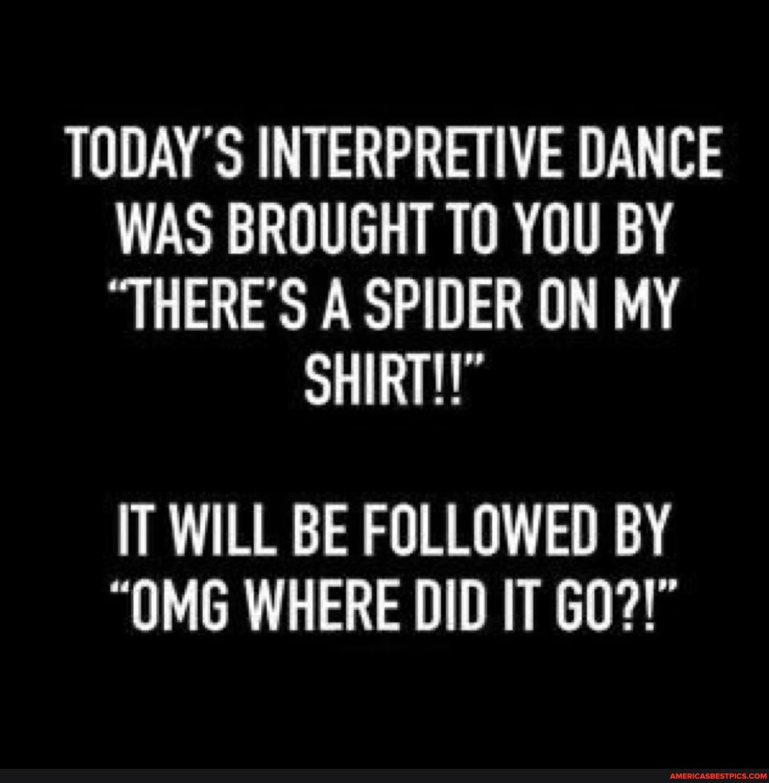 TODAY'S INTERPRETIVE DANCE WAS BROUGHT TO YOU BY
"THERE'S A SPIDER ON MY
SHIRT!"
IT WILL BE FOLLOWED BY
"OMG WHERE DID IT GO?!"