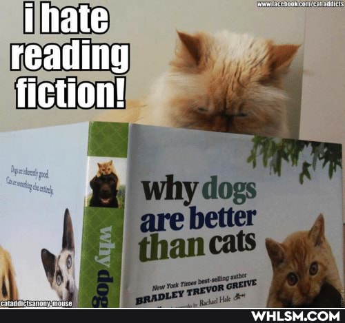 ihate reading fiction!