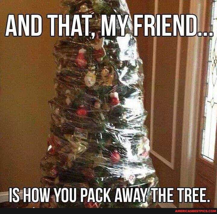 AND THAT FRIEND. I
HOW VOU PACK AWAY THE TREE.