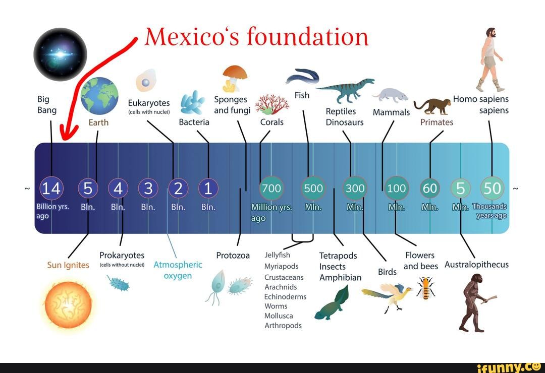 Mexico's foundation Big Bang Eukaryotes (cells with nuclei) Sponges and
