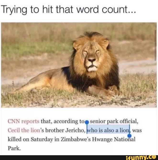 Trying to hit that word count...
CNN reports that, according tog senior park official,
Cecil the lion's brother Jericho, who is also a lion} was killed on Saturday in Zimbabwe's Hwange National
Park.