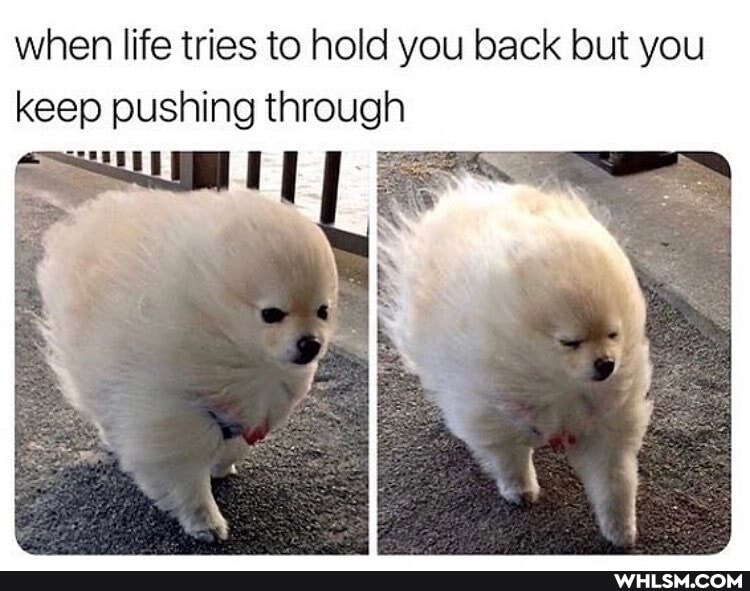 when life tries to hold you back but you keep pushing through