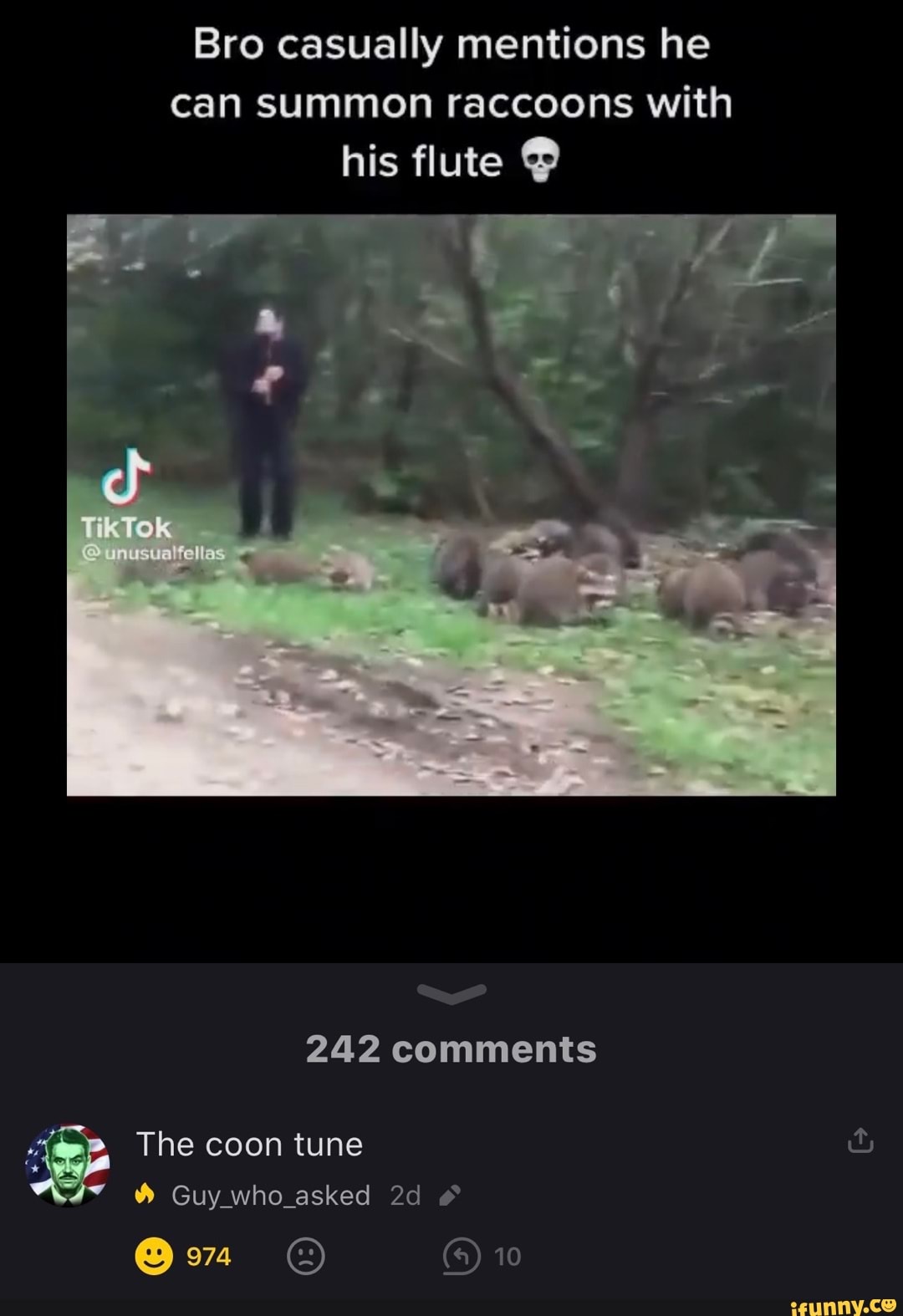 Bro casually mentions he can summon raccoons with his flute vikTok