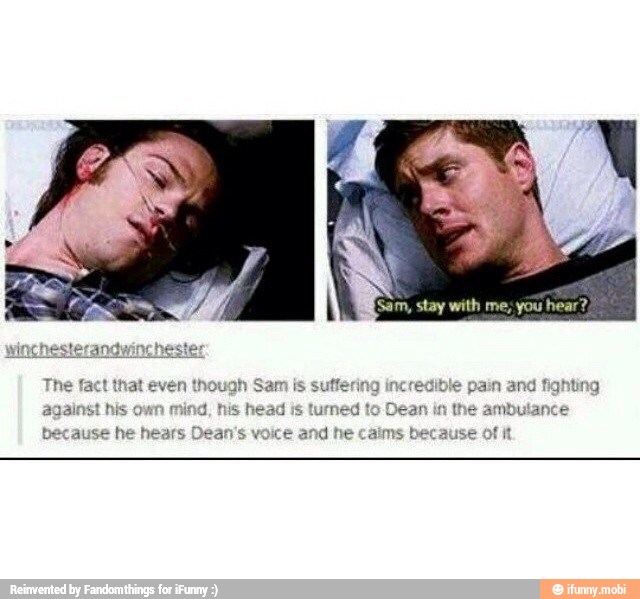 t that even though Sam is
suffering incredi
t his own mind, his head