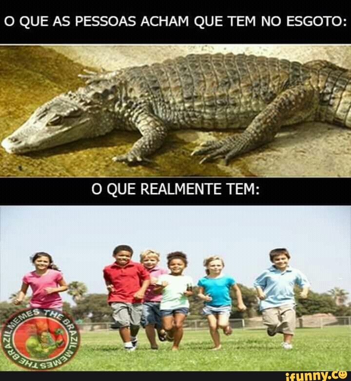O QUE AS PESSOAS ACHAM QUE TEM NO ESG