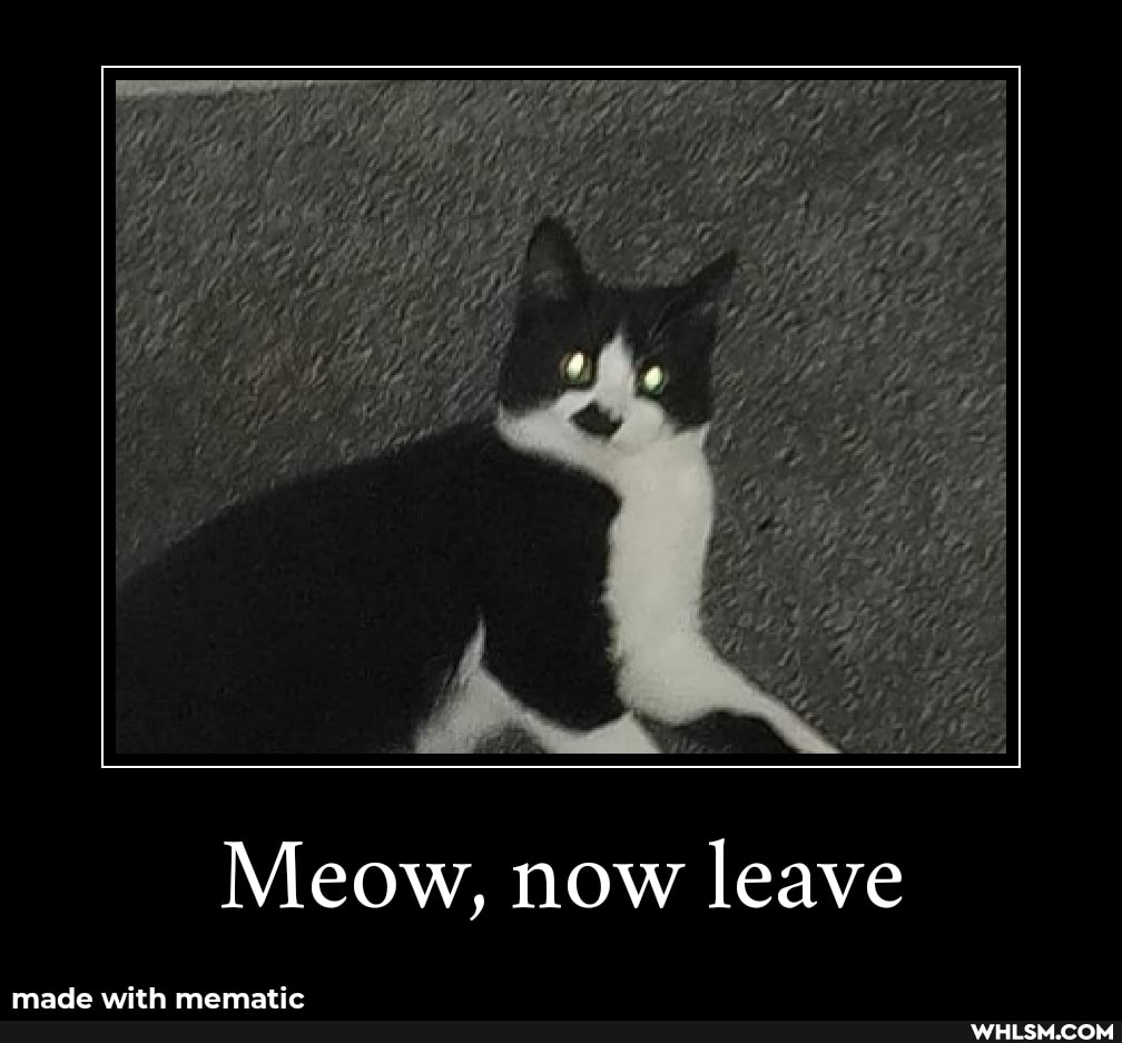 Meow, now leave