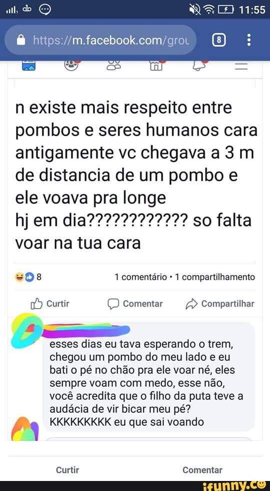 ull, do O
húps
n existe mais respeito entre pombos e seres humanos cara antigamente vc chegava a 3 m de distancia de um pombo e ele voava pra longe
voar na tua cara
1 comentário 1 compartilhamento
Curtir Comentar Compartilhar
esses dias eu tava esperando o trem, chegou um pombo do meu lado e eu bati o pé no chão pra ele voar né, eles sempre voam com medo, esse não, você acredita que o filho da puta teve a audácia de vir bicar meu pé?
KKKKKKKKK eu que sai voando
Curtir Comentar