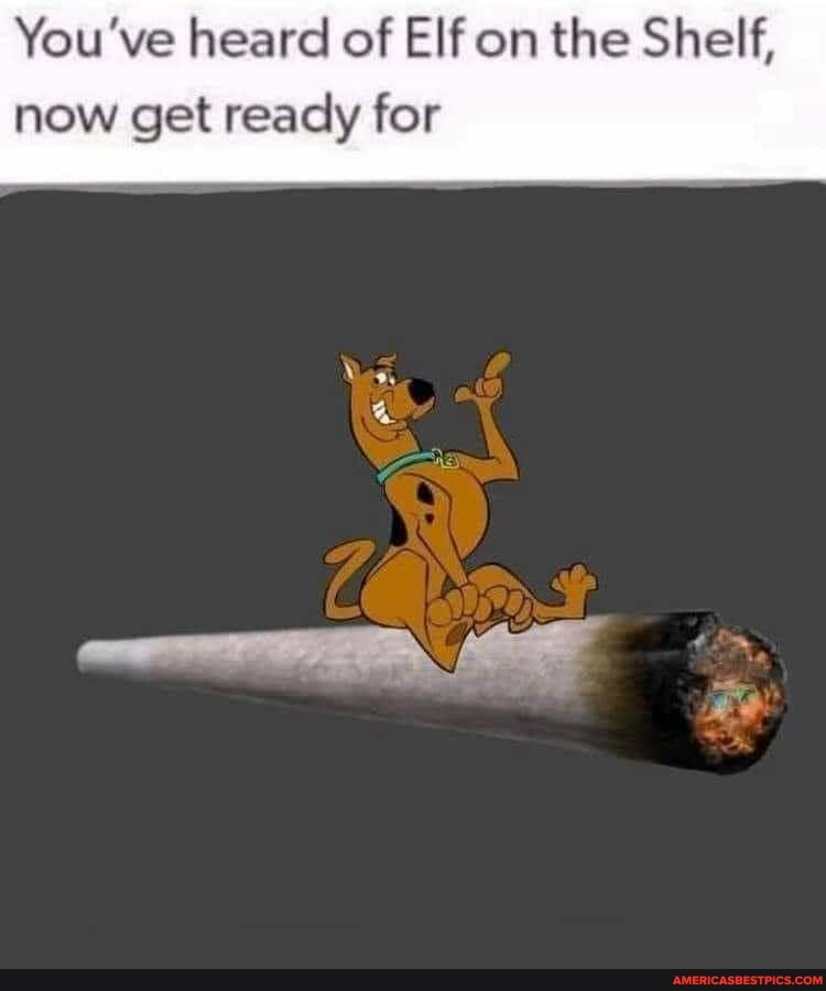 You've heard of Elf on the Shelf, now get ready for