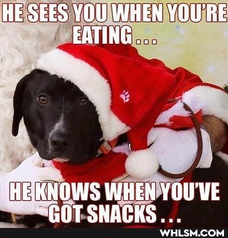HE SEES YOU WHEN YOURE EATING...
HEKNOWS WHEN YOU'VE CHAT CHARE