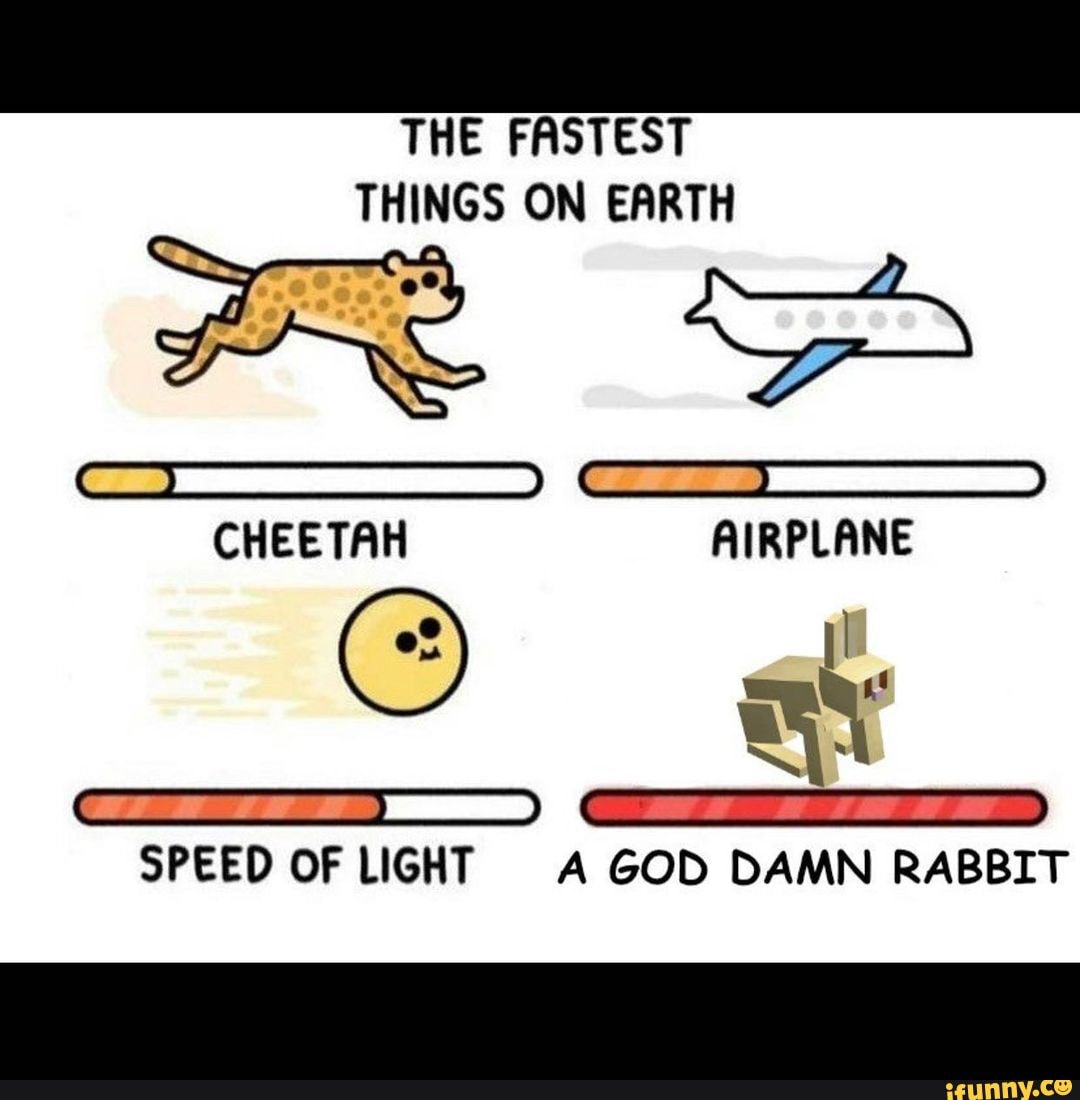 THE FASTEST THINGS ON EARTH CHEETAH AIRPLANE af SPEED OF LIGHT A GOD ...