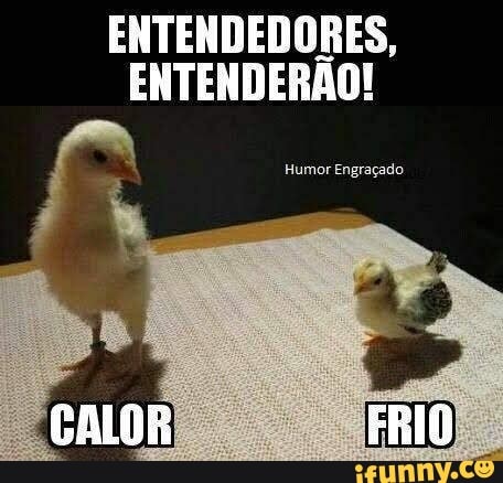 ENTENDEDORES,
ENTENDERÃO!