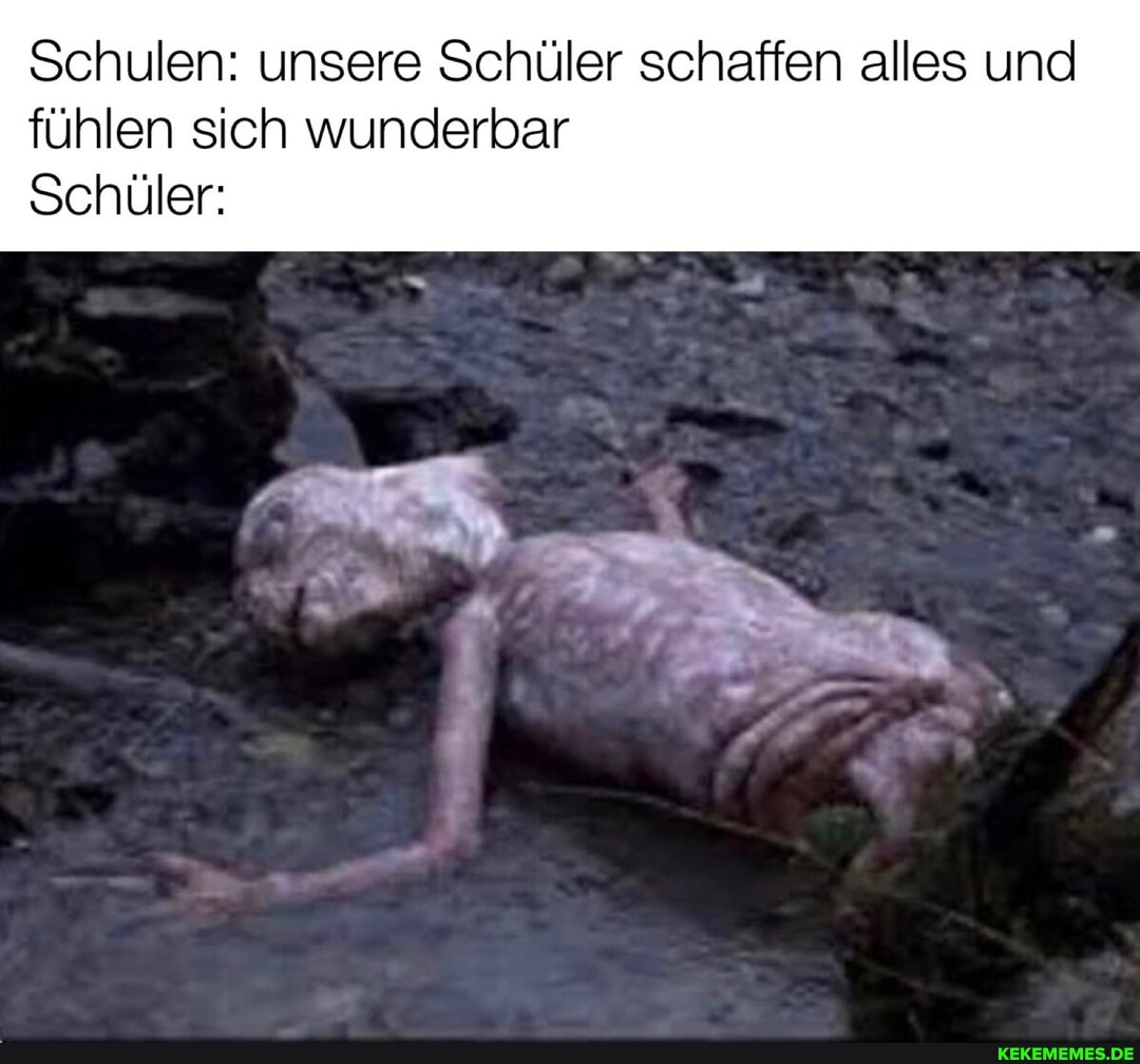 Schulen: unsere Schüler schaffen alles und
fühlen sich wunderbar
Schüler: