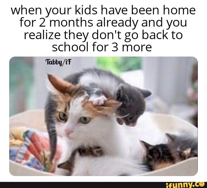 When your kids have been home for 2 months already and you realize they ...