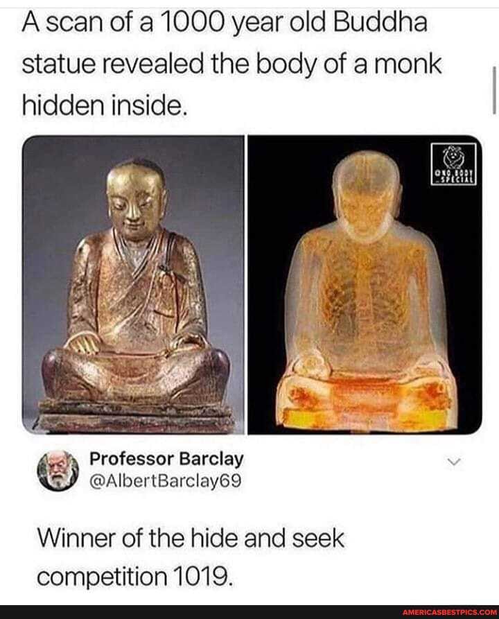 Ascan of a 1000 year old Buddha statue revealed the body of a monk hidden inside.
Professor Barclay
SI @AlbertBarclay69
Winner of the hide and seek competition 1019.