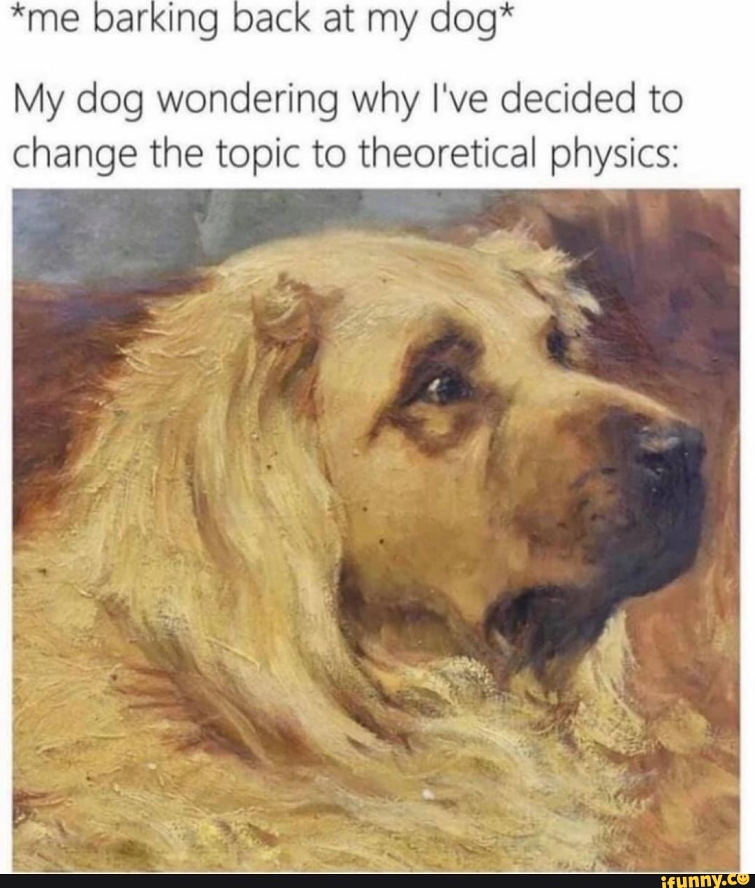 My dog wondering why I've decided to
change the topic to theoretical physics: