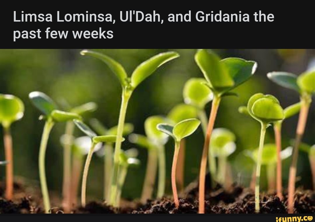 Limsa Lominsa, UI'Dah, and Gridania the past few weeks - iFunny