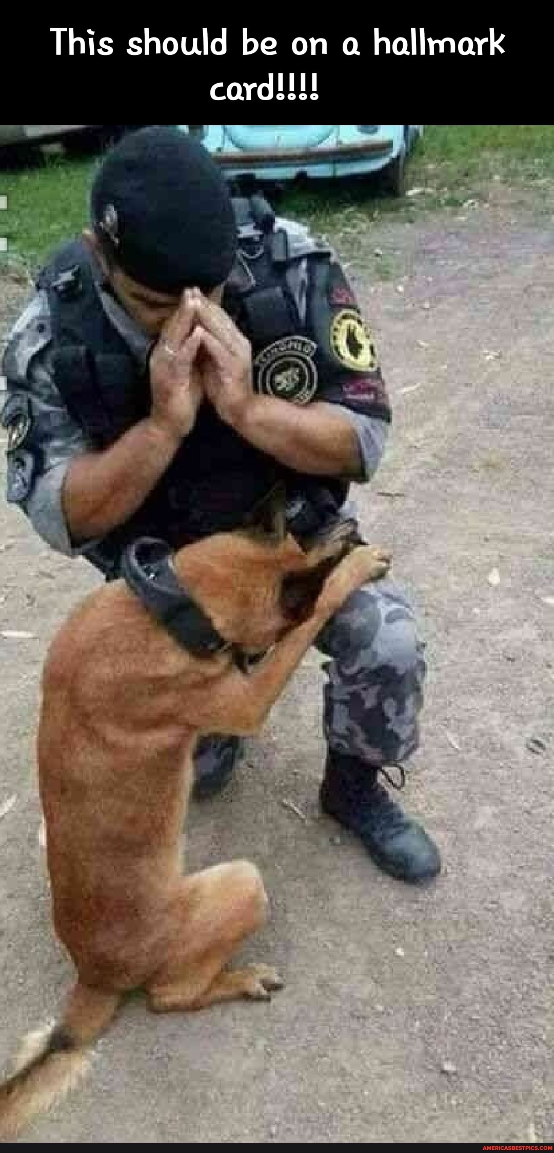 This should be on a hallmark card!!!!
af