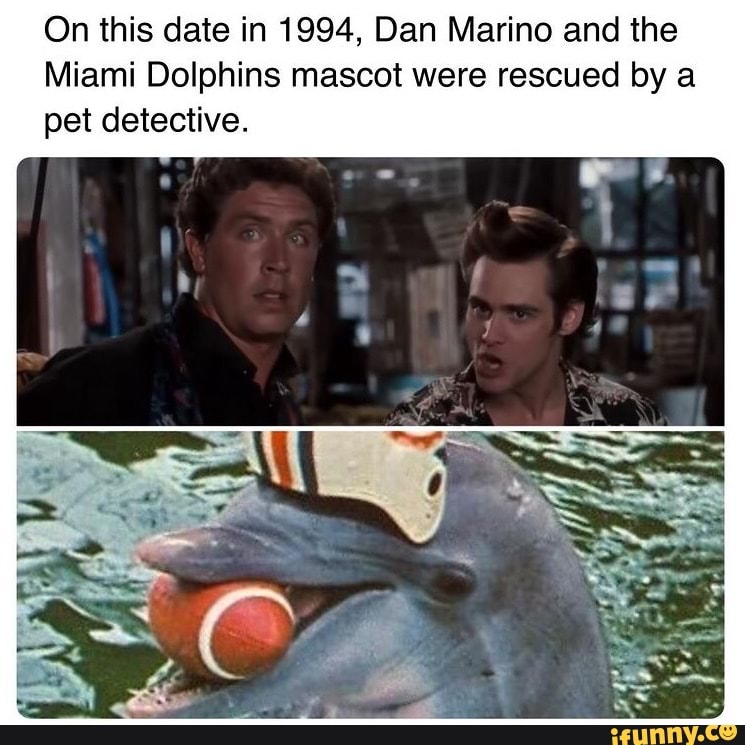 On this date in 1994, Dan Marino and the
Miami Dolphins mascot were rescued by a pet detective.