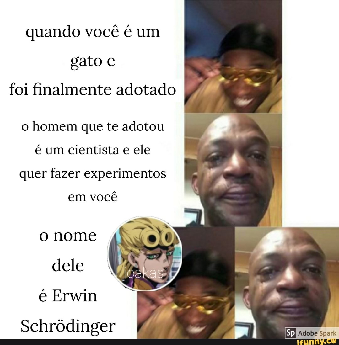 quando você é um
gato e
foi finalmente adotado
o homem que te adotou
é um cientista e ele
quer fazer experimentos
você